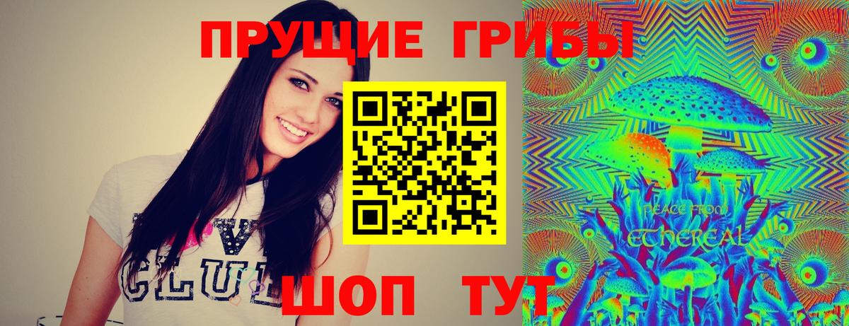 Псилоцибиновые грибы Psilocybine cubensis Ярцево