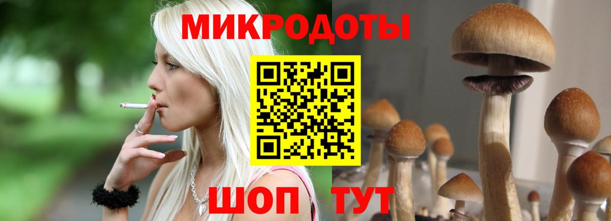 Псилоцибиновые грибы Psilocybe  Вход с VPN  Ярцево 